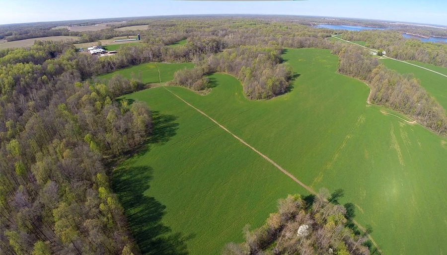 LAND AUCTION, 115+/- Acres offered in 3 Tracts in Parke County